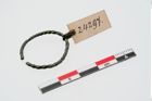 Foto von Bronzering (NHMW-PRAE-024297)